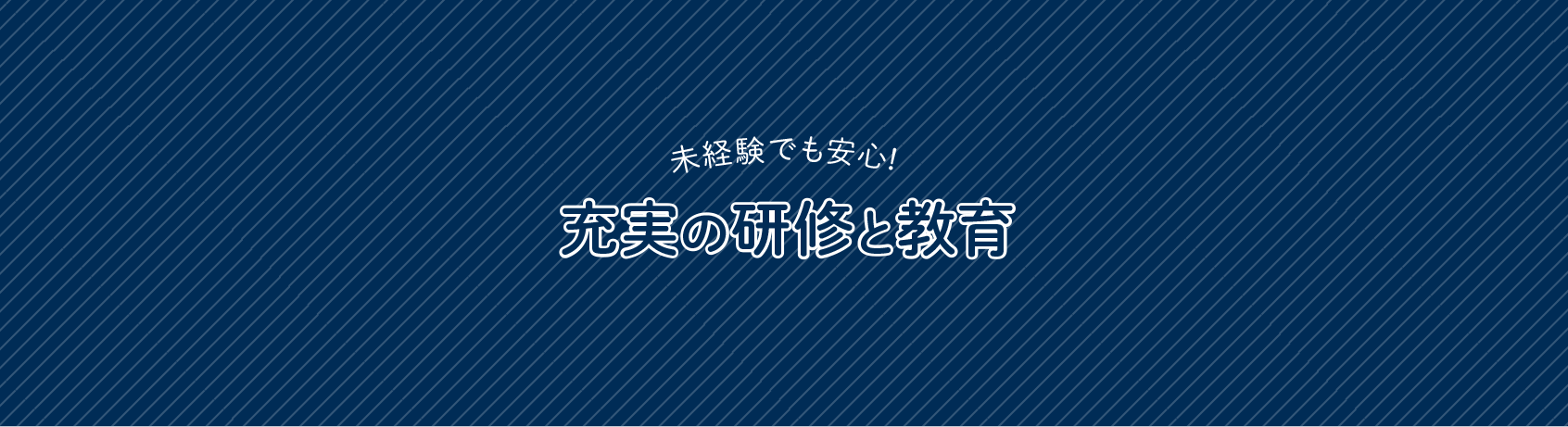 充実の研修・教育